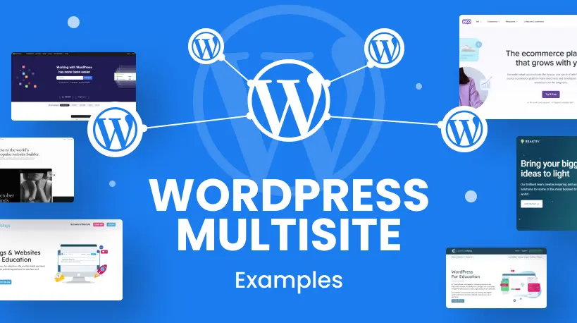 20 WordPress Multisite Quiz Questions and Answers