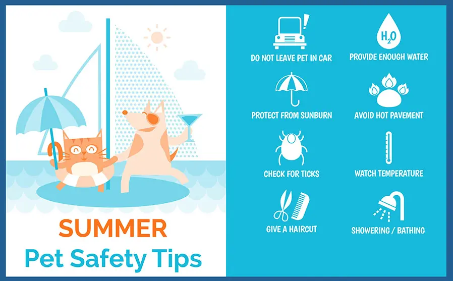 20 Pet Safety Quiz Questions and Answers